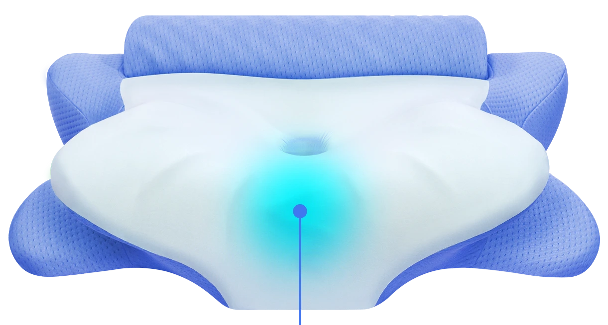 buy Melara Pro Pillow now